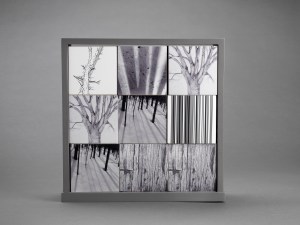 Bar Codes and Trees_gray_01
